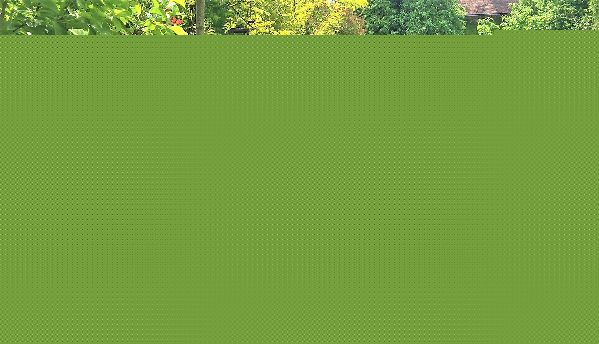 auxerre-paysagiste-yonne-liperi-philippe-jardin-89 2