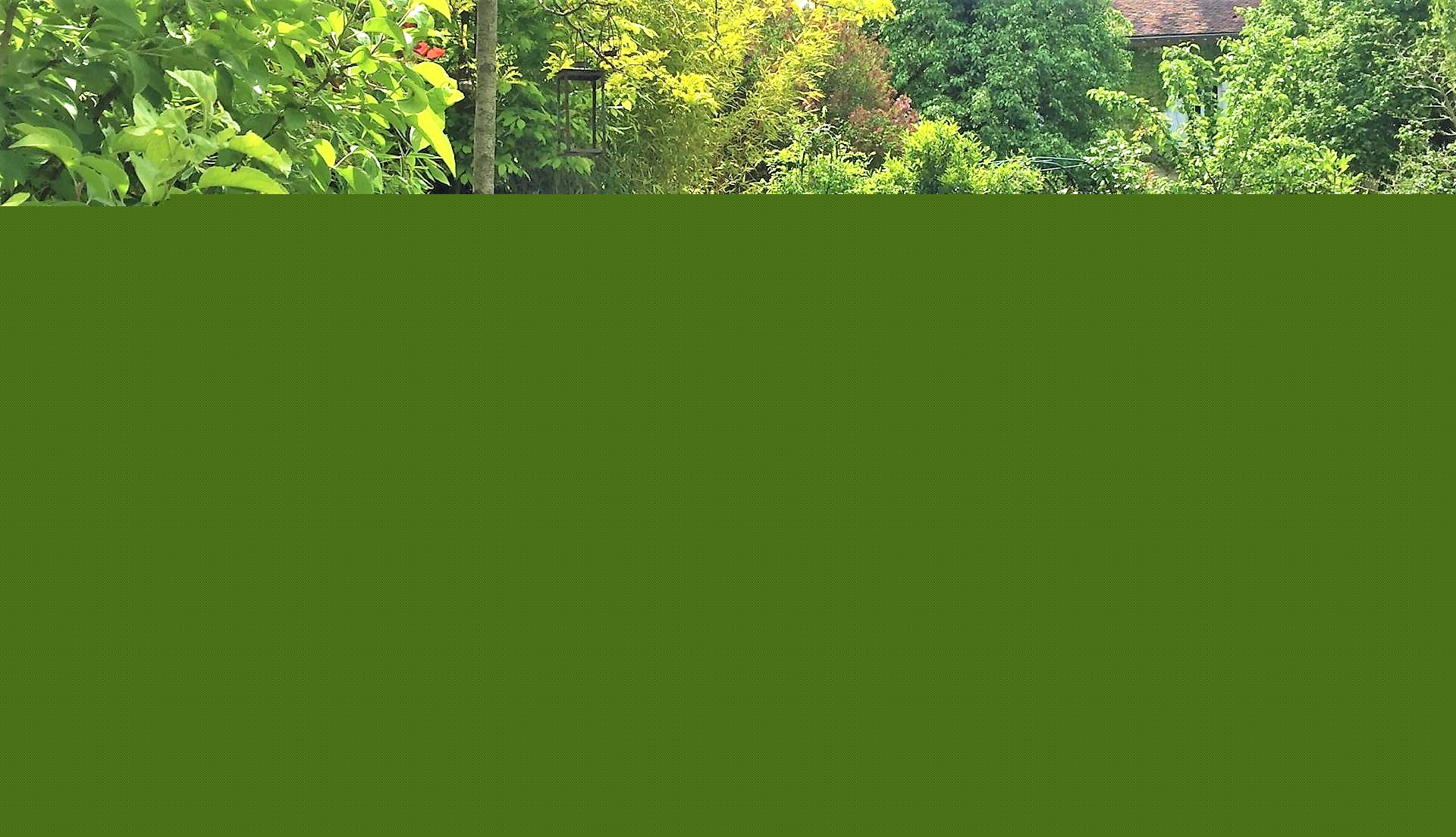 auxerre-paysagiste-yonne-liperi-philippe-jardin-89 2