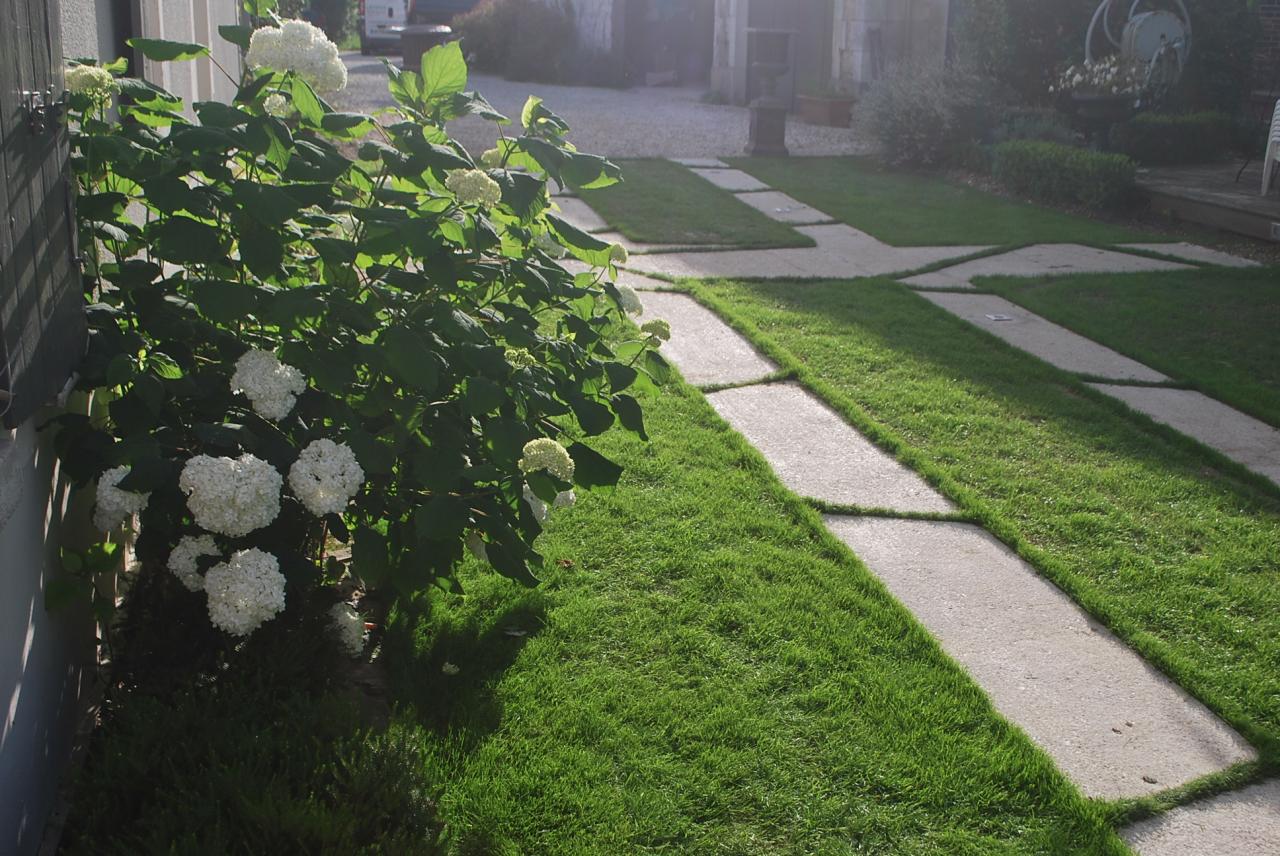 allée de jardin, Appoigny