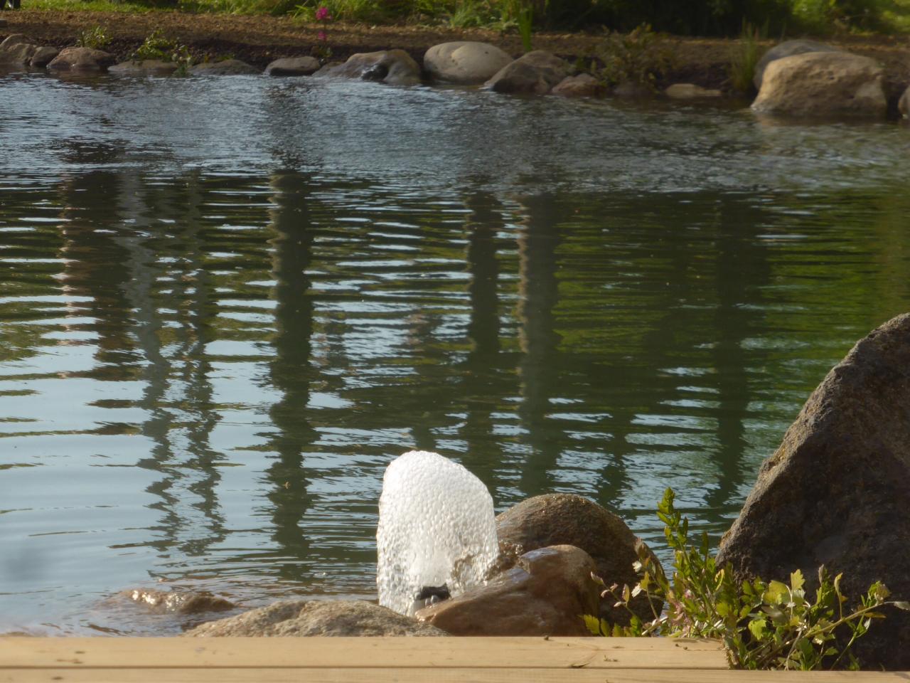 Bassin de baignade