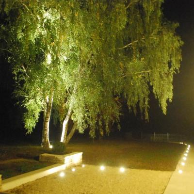 Éclairage et ambiance lumineuse au jardin