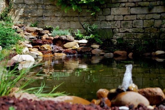 Bassin d'agrément à Auxerre dans l'Yonne