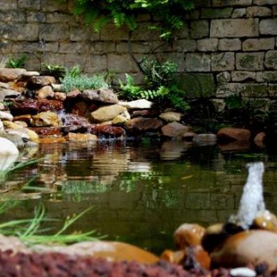 Bassin d'agrément à Auxerre dans l'Yonne