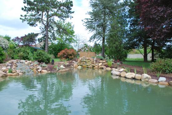 Bassin d'agrément à Auxerre dans l'Yonne