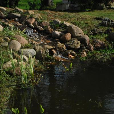 Bassin paysagé, récupération d'eau pluviale