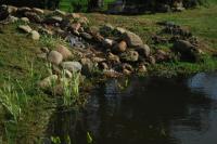Bassin paysagé, récupération d'eau pluviale