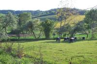 Rucher conservatoire de Migé dans l'Yonne