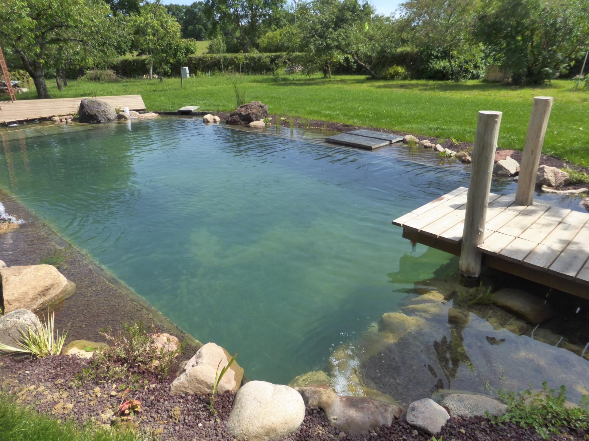 bassin d'agrément hors-sol décoré d'une fontaine, de plantes