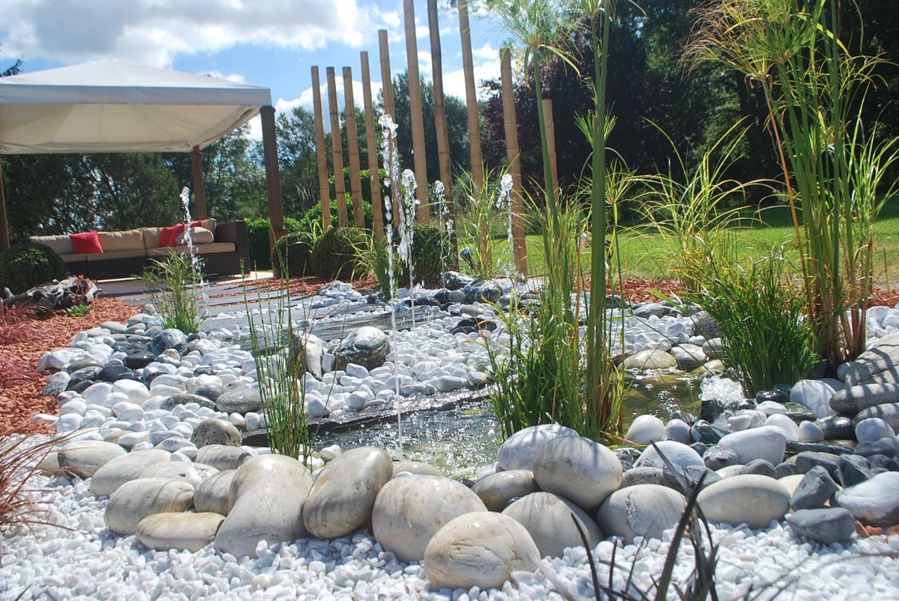 Aménagement de bassins de jardin près de Saint-Louis