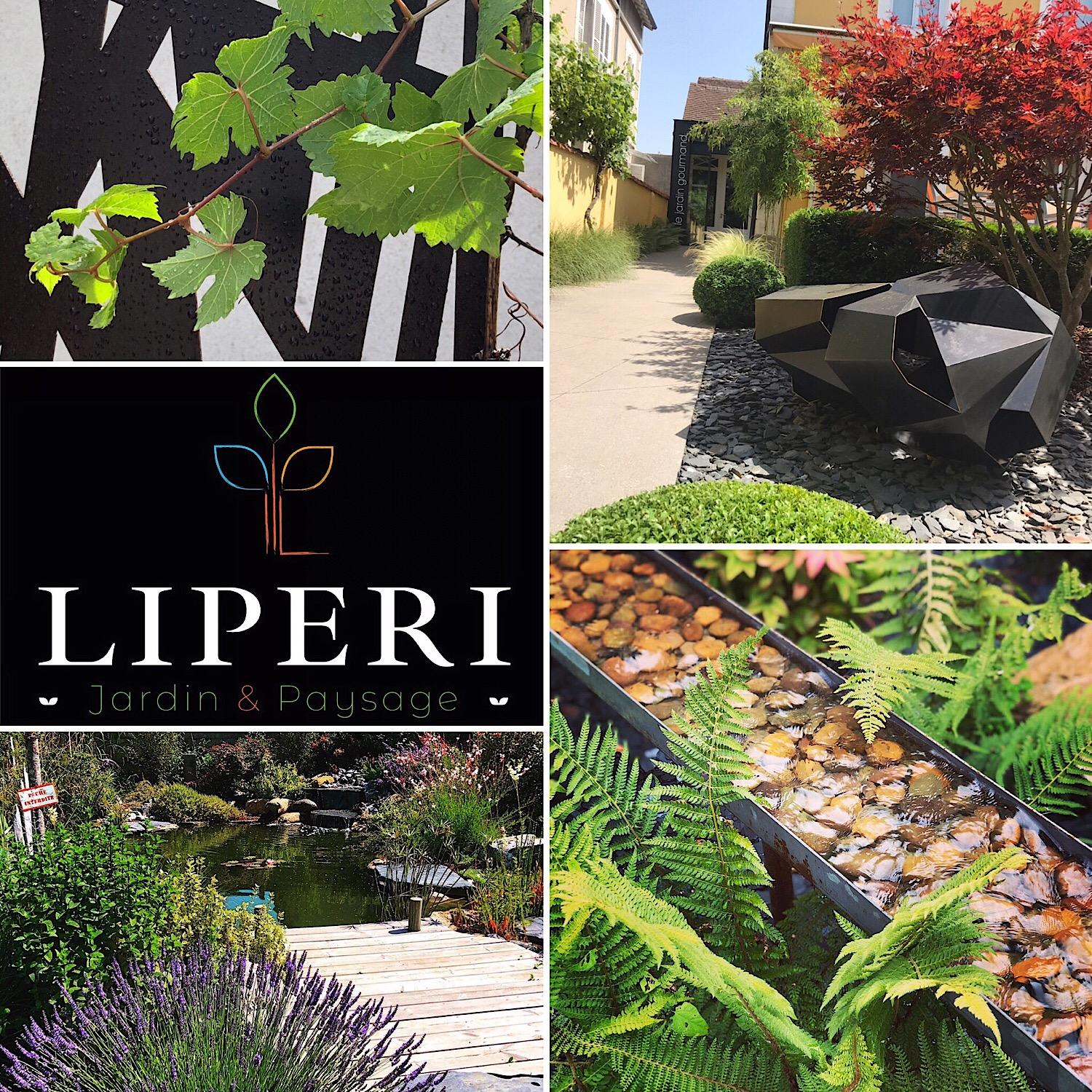 Jardinier Paysagiste à Auxerre 89, Jardin Bassin Terrasse